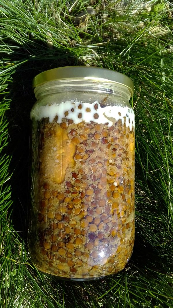 Lentilles saucisse en 660 gr – Image 3